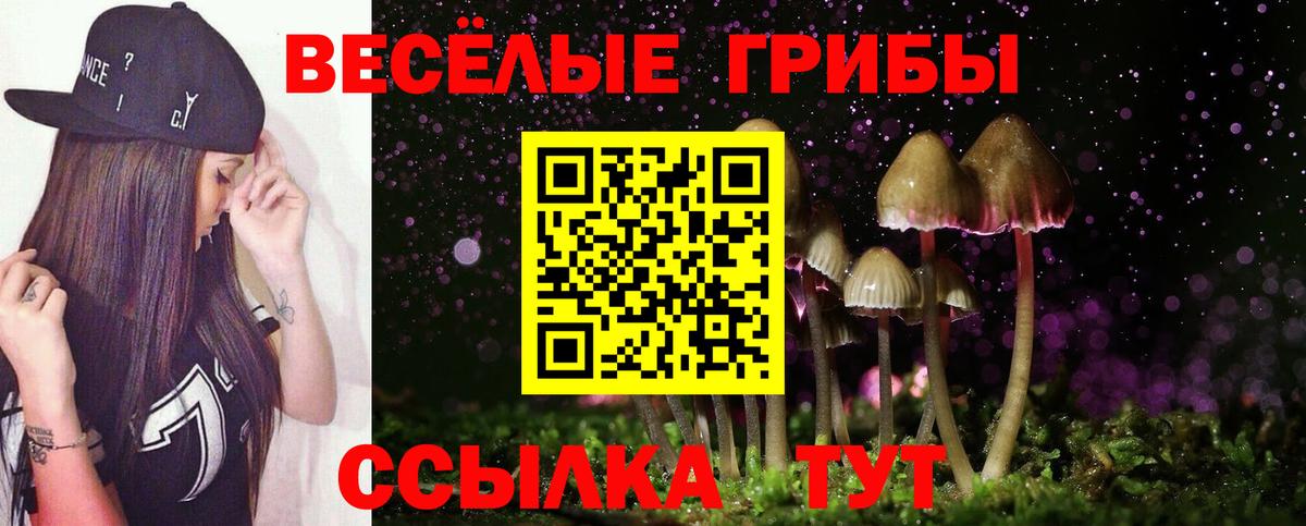 купить наркотик  Вход с VPN  Алапаевск  Псилоцибиновые грибы прущие грибы 